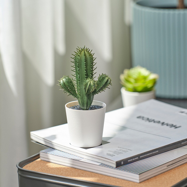 60587154 Искусственное растение в горшке, комнатное/усадочное Кактус, 6 см