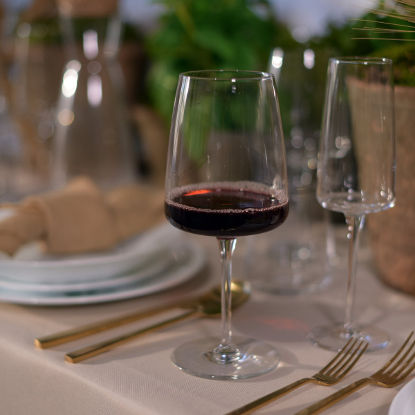 365749-4 Набор бокалов для вина, прозрачное стекло, 478 мл, 4 шт