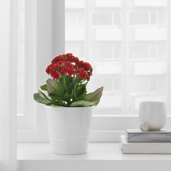 30308201 Кашпо, белый, 9 см