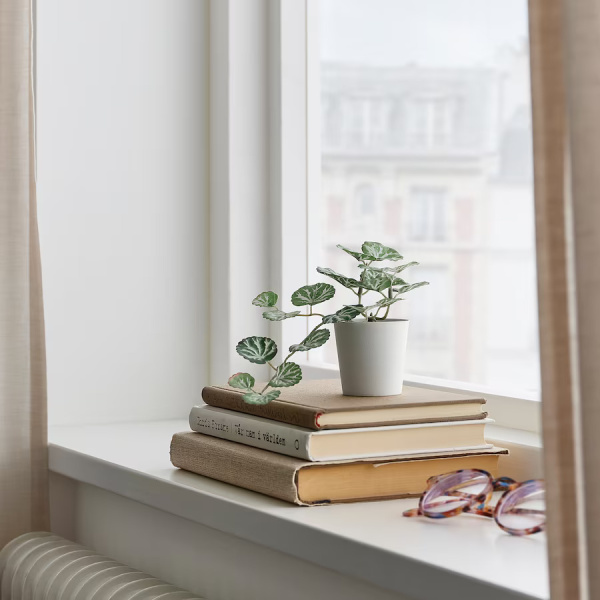 90538001 Искусственное растение в горшке, д/дома/улицы  белый/зеленый, 6 см