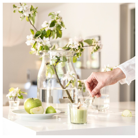 70582052 Ароматическая свеча в стакане, яблоко / светло-зелёный, 20 ч