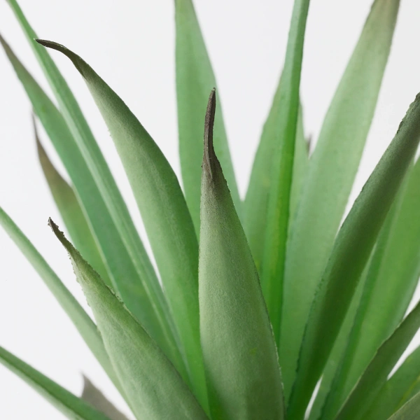 80395314 Искусственное растение и кашпо, д/дома/улицы Суккулент, 6 см