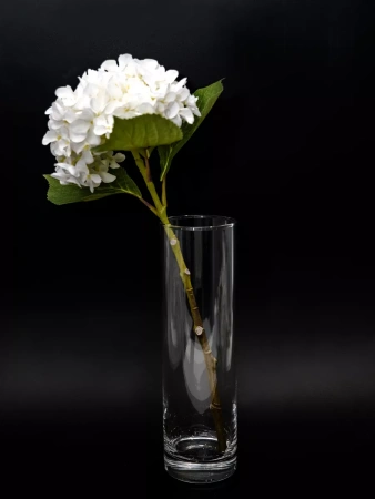 50019236 Ваза, прозрачный, 26.5 см