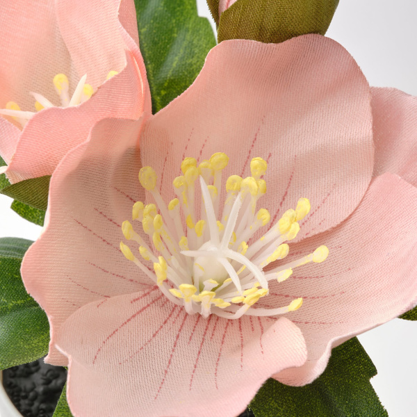 30522885 Искусственное растение в горшке, 6 см, д/дома/улицы зеленый/розовый, 3шт