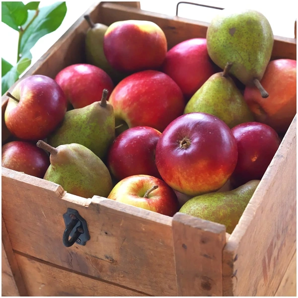 50350072 Ароматич. свеча в стакане, яблоко,7.5 см