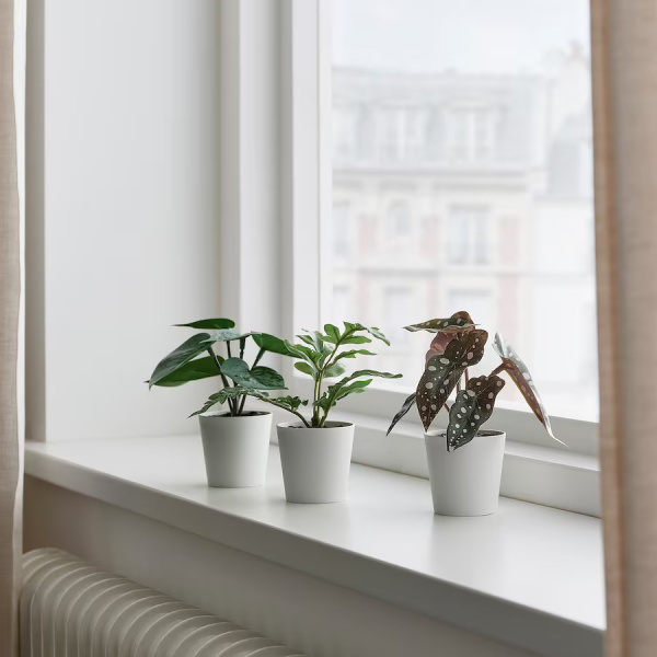 50538017 Искусственное растение в горшке, 3шт, д/дома/улицы зеленый, 6 см