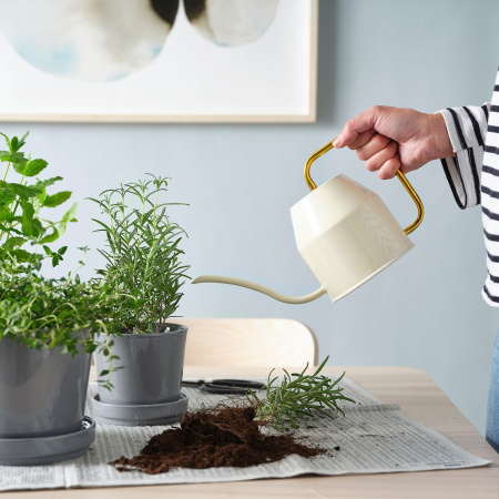 40394118 Лейка, слоновая кость/золотой, 0.9 л