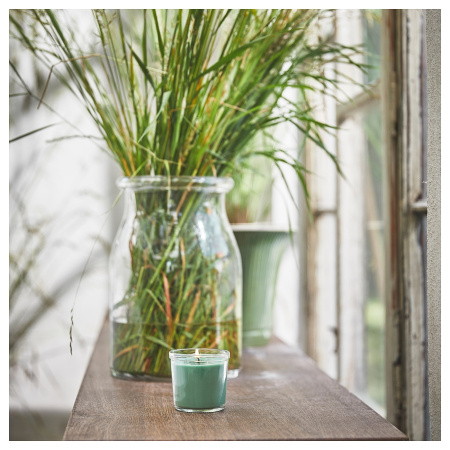 80502366 Ароматическая свеча в стакане, Свежая трава/светло-зеленый, 20 ч