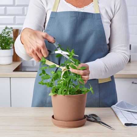60563431 Ножницы, 2 шт, нержавеющая сталь серый/серый бирюзовый