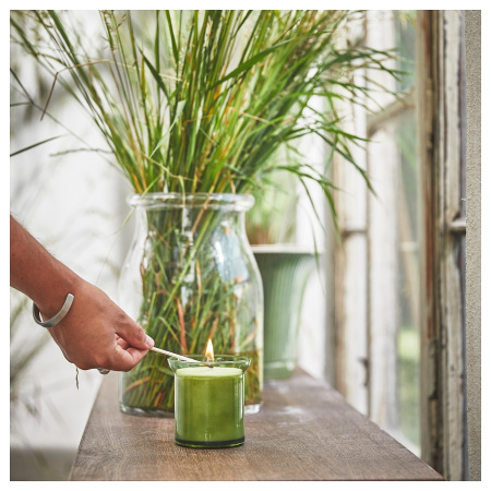 40502410 Ароматическая свеча в стакане, Свежая трава/светло-зеленый, 50 ч