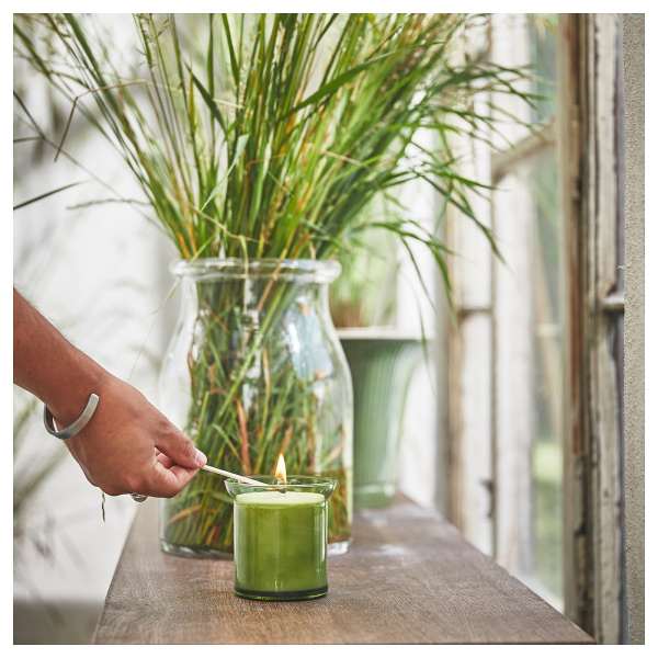 40502410 Ароматическая свеча в стакане, Свежая трава/светло-зеленый, 50 ч