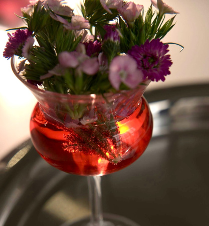 10000005016-6 Набор бокалов для коктейля, прозрачное стекло, 245 мл, 6 шт