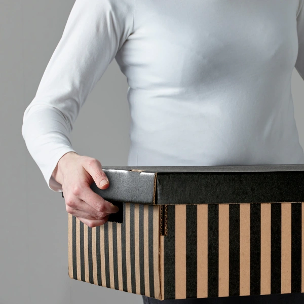 40430263 Коробка с крышкой, черный/естест, 56x37x18 см, 2 шт.