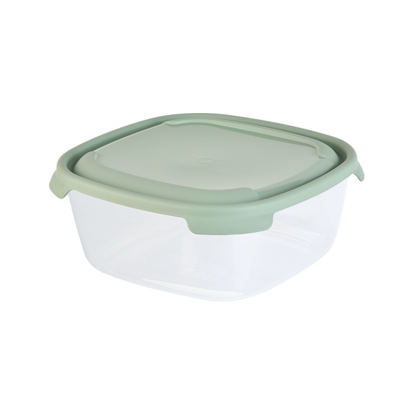 P1FP018 Контейнер пластиковый прямоугольный с крышкой, разноцветный, 2 л