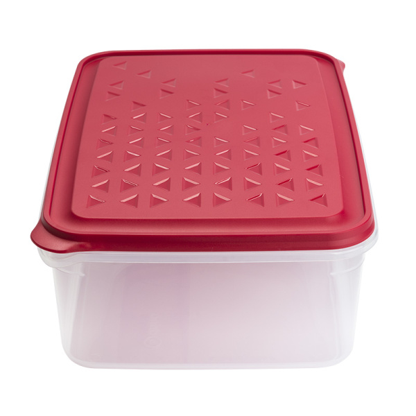 10518000 Контейнер с крышкой для хранения, прозрачный/разноцв., 9л