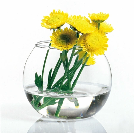 50021922 Ваза, прозрачный, 10 см