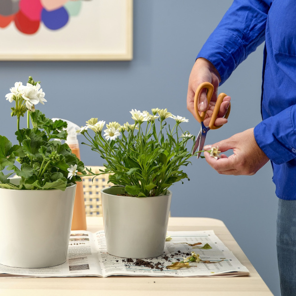 00585191 Ножницы для растений, оранжевый