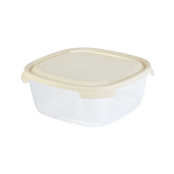 P1FP018 Контейнер пластиковый прямоугольный с крышкой, разноцветный, 2 л