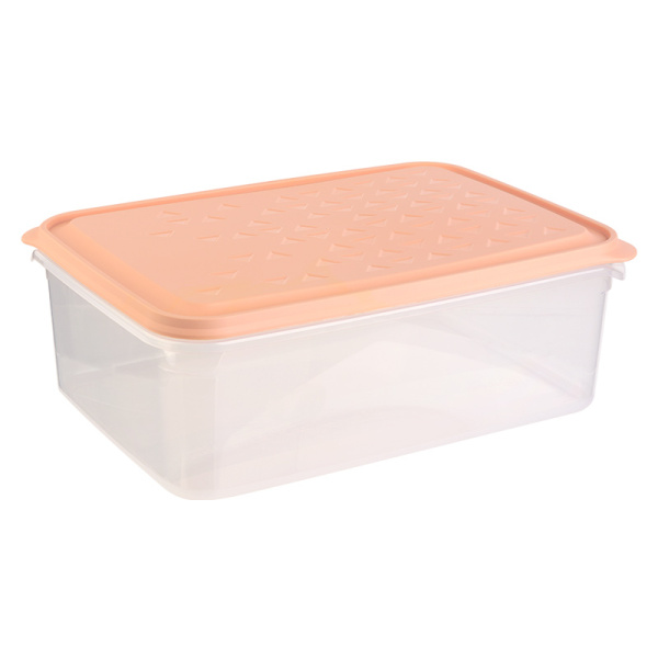 10518000 Контейнер с крышкой для хранения, прозрачный/разноцв., 9л