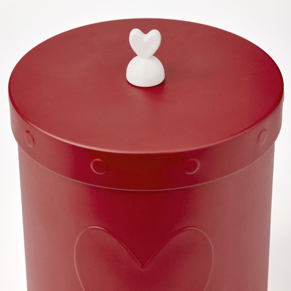 00530491 Банка с крышкой, темно-красный