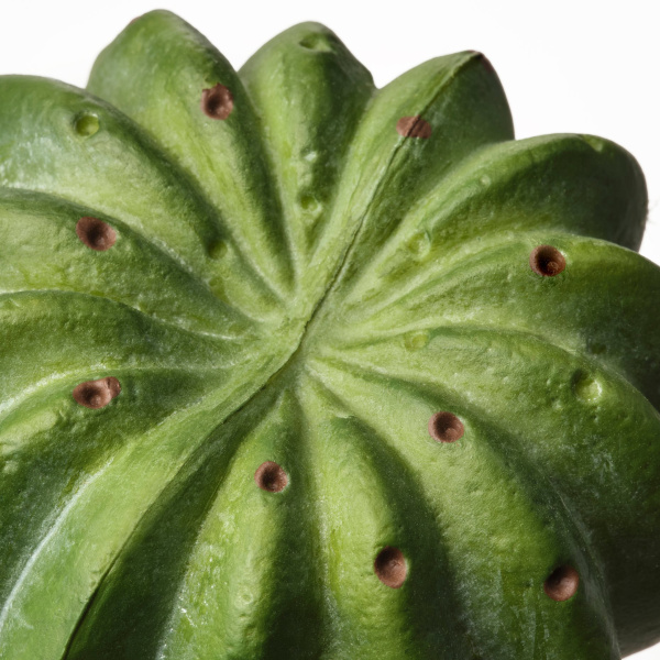 60522997 Искусственное растение в горшке, 6 см, д/дома/улицы кактус, 3шт