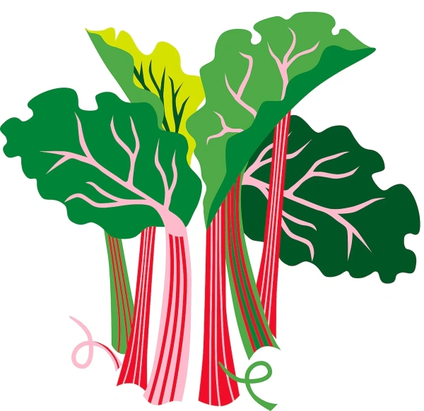 10496769 Ароматич. свеча в стакане, ревень бузина/с рис.чер/бел, 7.5 см