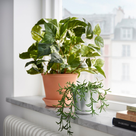 20508408 Искусственное растение в горшке, д/дома/улицы Старик Роули, 9 см