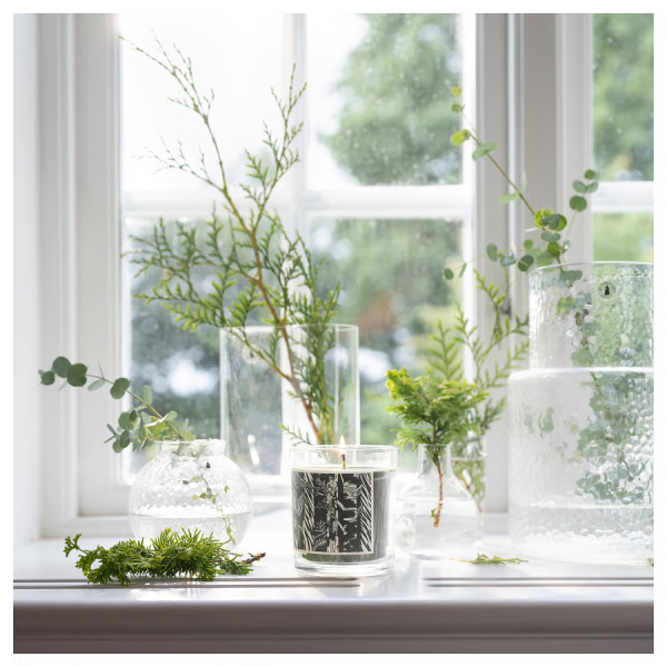 90552426 Свеча ароматическая в стакане, кипарис и эвкалипт/темно-зеленый, 45 ч