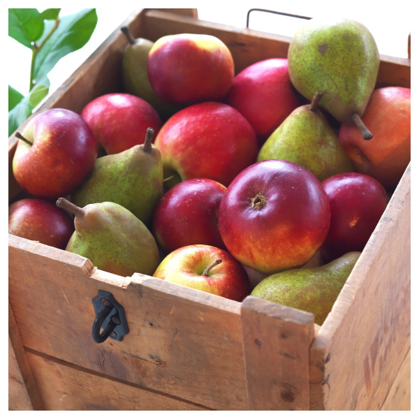 00350060 Свеча греющая ароматическая, Яблоко и груша/зеленый, 30 шт.