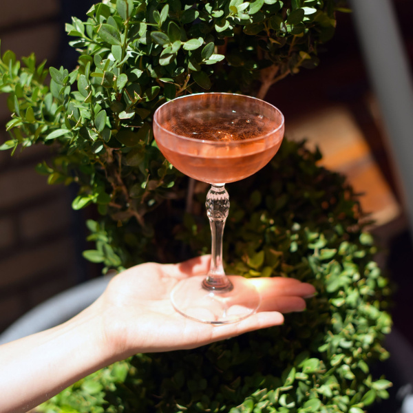 122137-4 Набор бокалов для коктейля (купе), прозрачное стекло, 230 мл, 4 шт