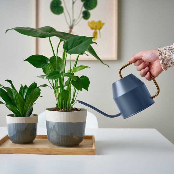 80536012 Лейка, темно-синий/золотой, 0.9 л