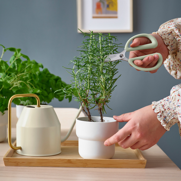 20535987 Ножницы для растений, светло-зеленый