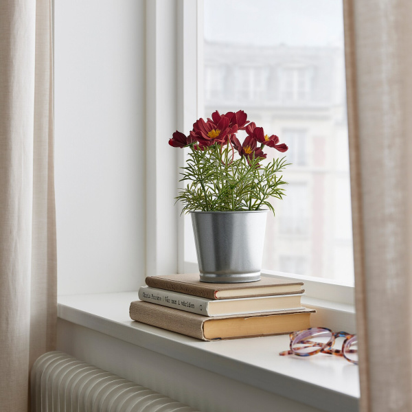 80535734 Искусственное растение в горшке, красный космос, 9 см