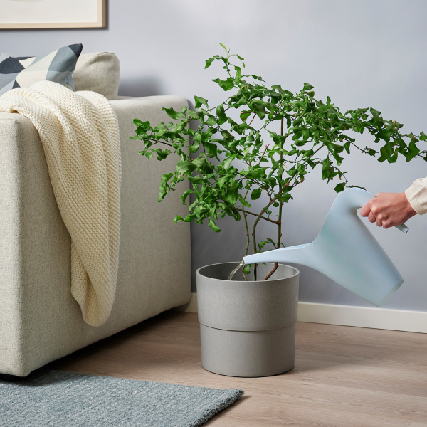 00505321 Лейка, бледно-голубой, 1.2 л