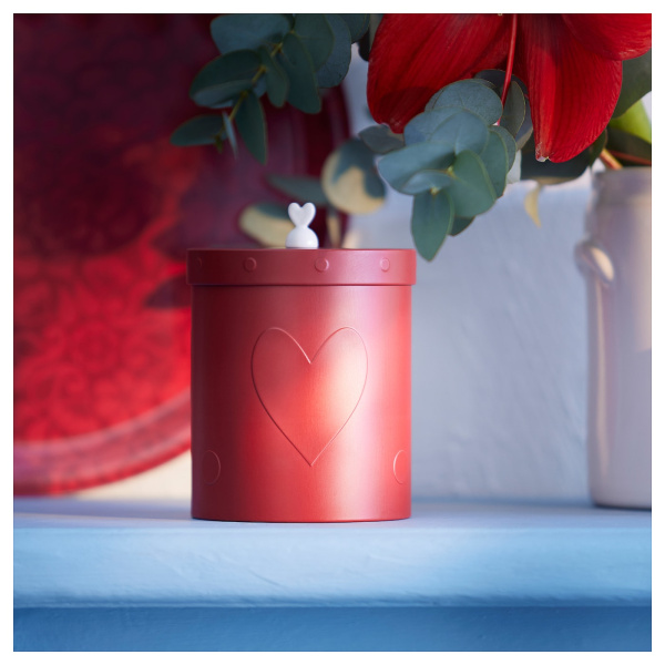 00530491 Банка с крышкой, темно-красный