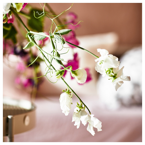 10502223 Формовая свеча, ароматическая, душистый горошек/фиалка, 30 часов, 3 шт