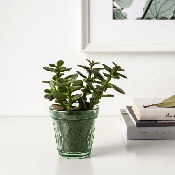 90442310 Ароматич. свеча в стакане, утренняя роса, 8 см