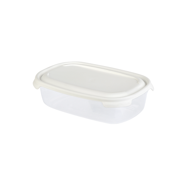 P1FP005 Контейнер пластиковый с крышкой, разноцветный, 1 л